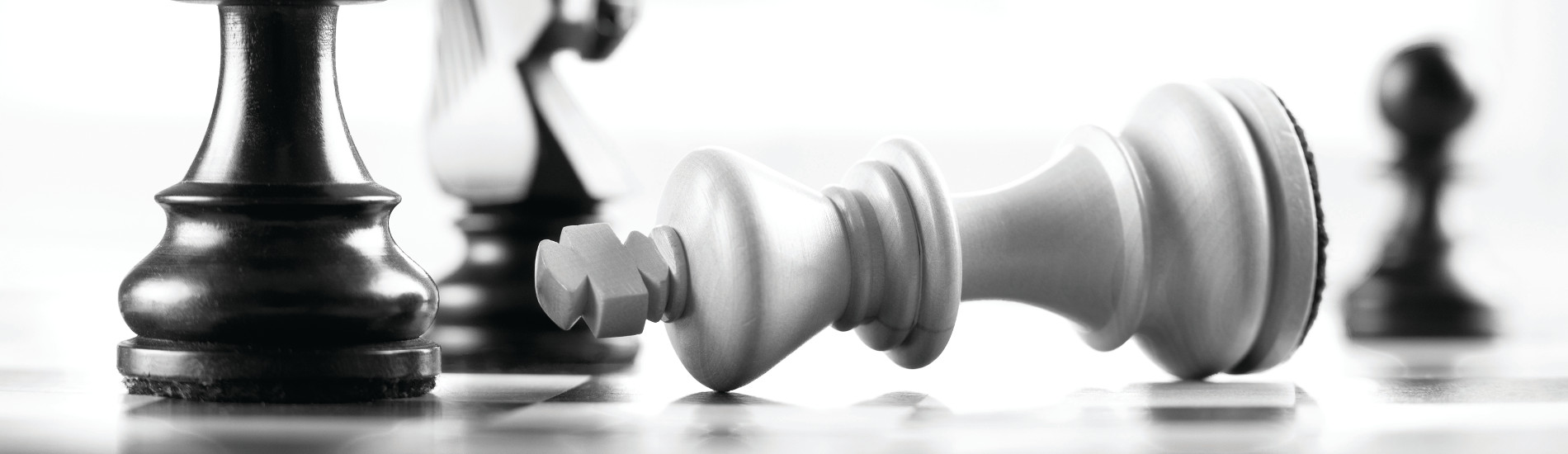 Investment Management Services