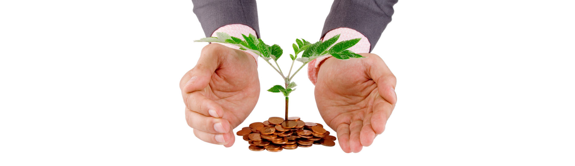 Capitalization on Markets