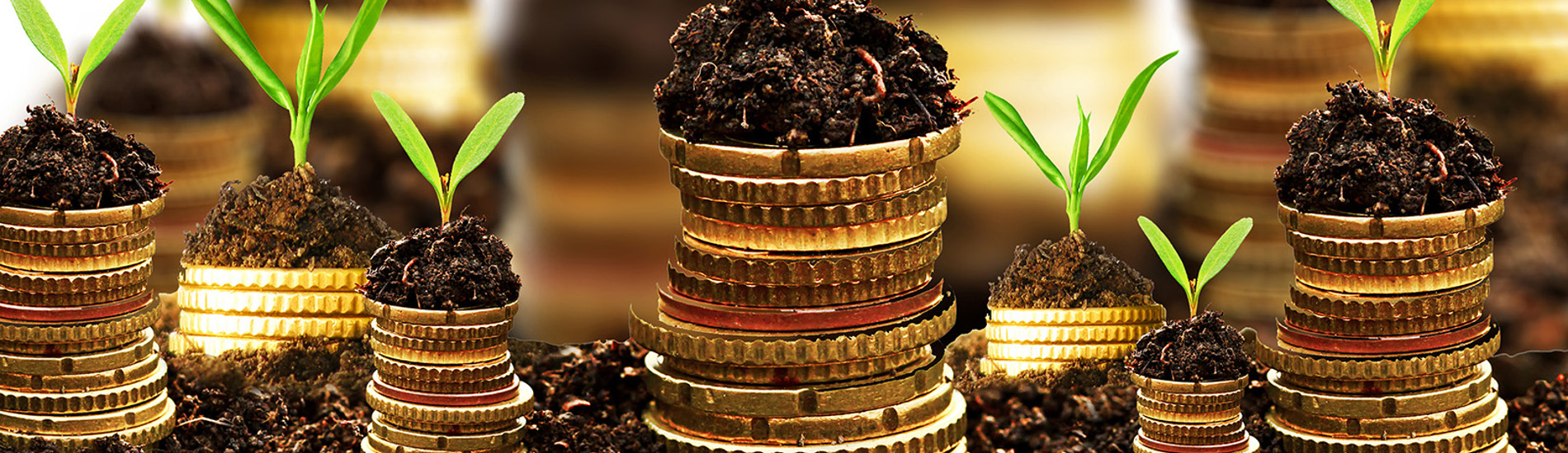 Finding the best Investment Solutions